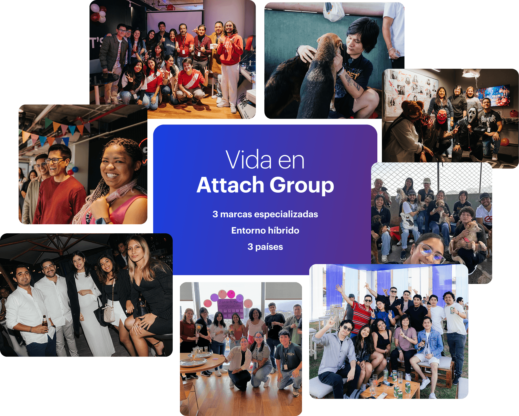actividades de integración y voluntariado de attach group