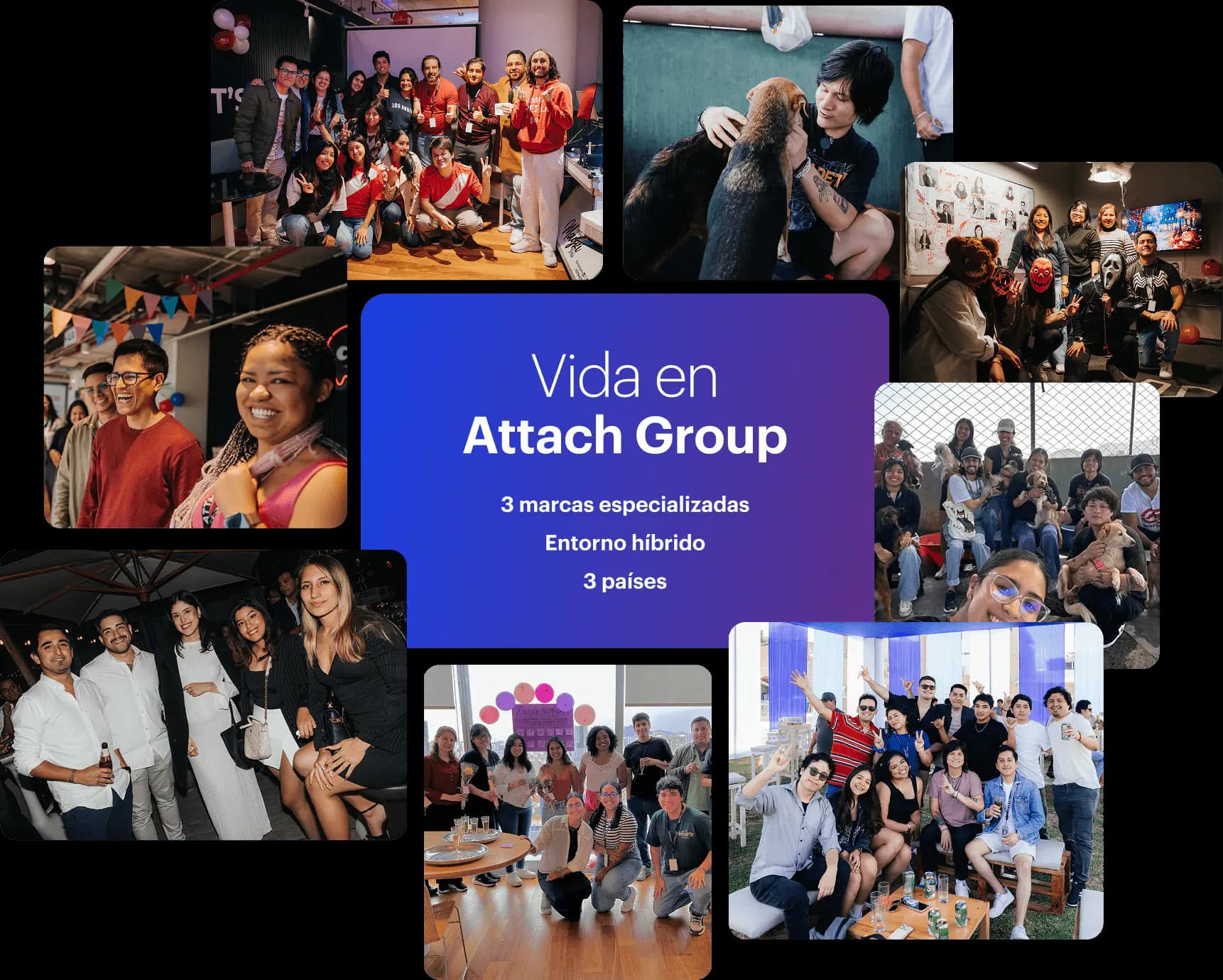 actividades de integración y voluntariado de attach group