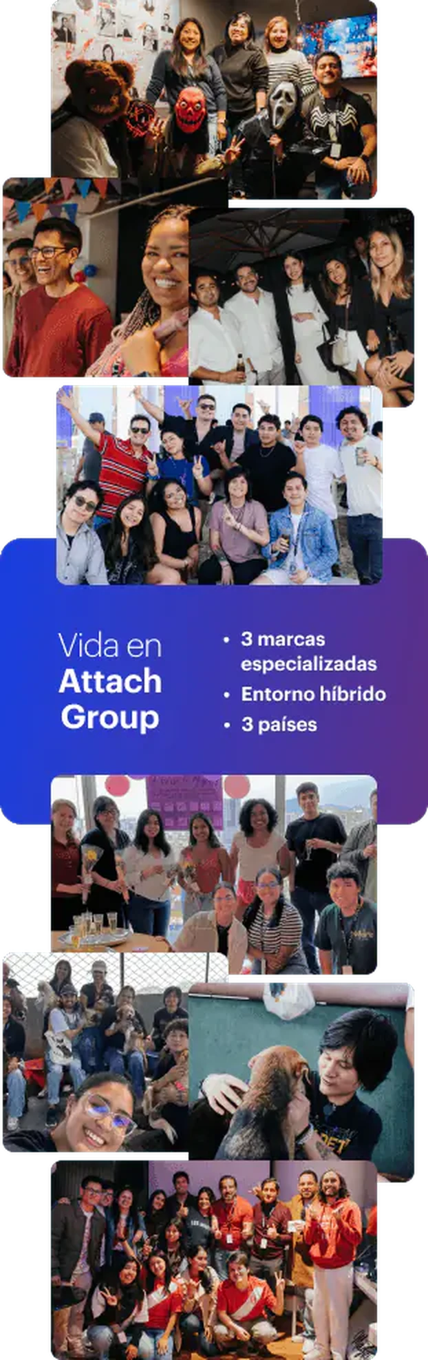 actividades de integración y voluntariado de attach group