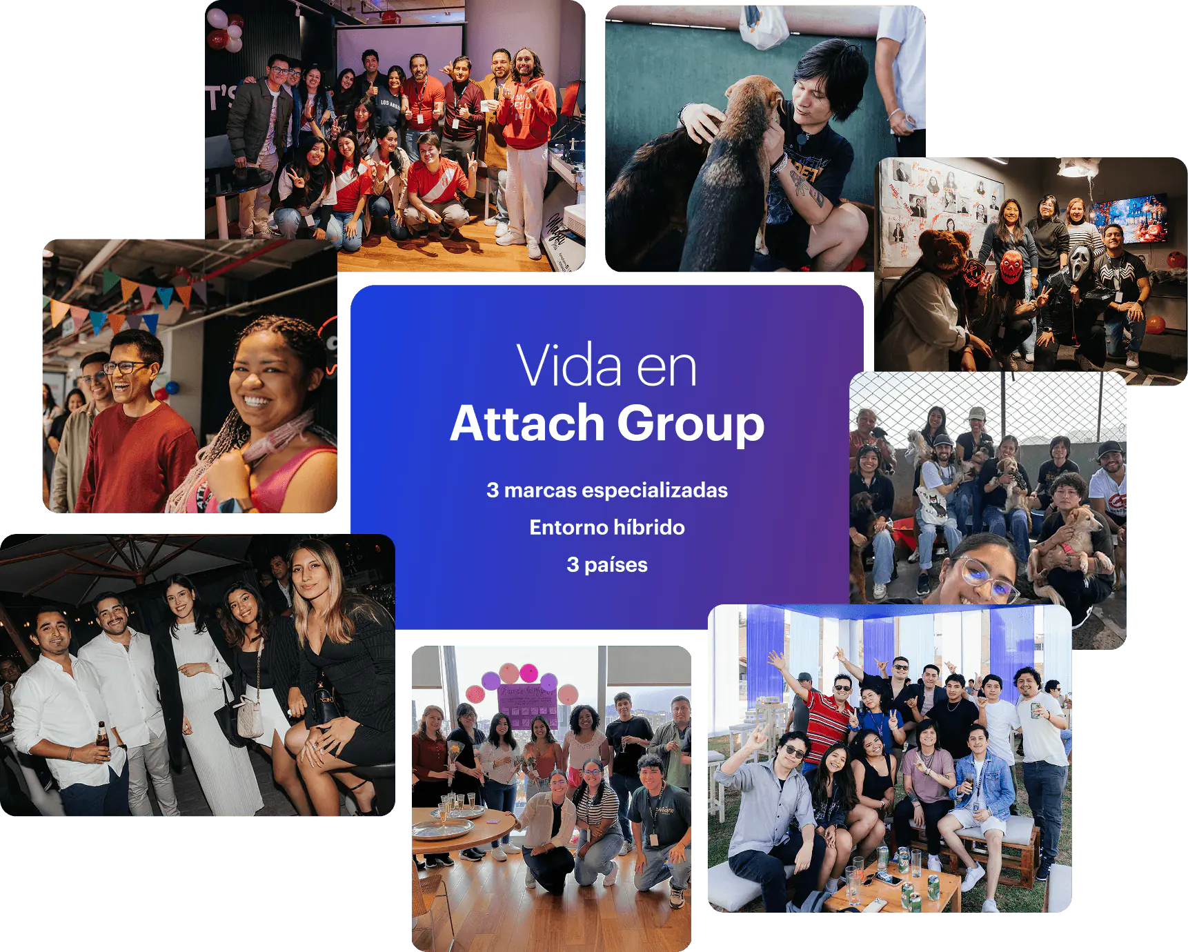 actividades de integración y voluntariado de attach group